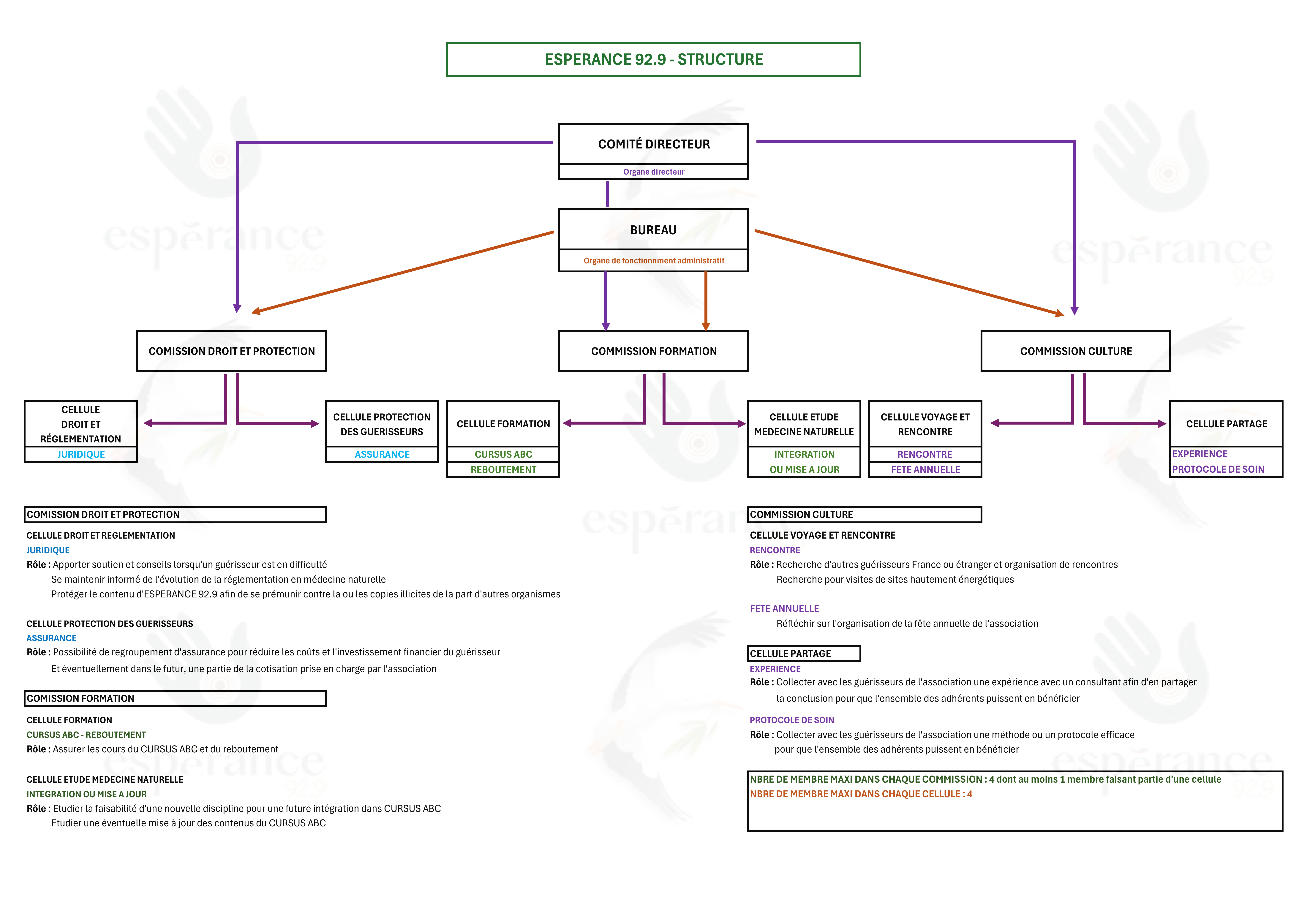 Structure de  l'association